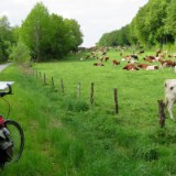 1805F 072 Trier-Aachen